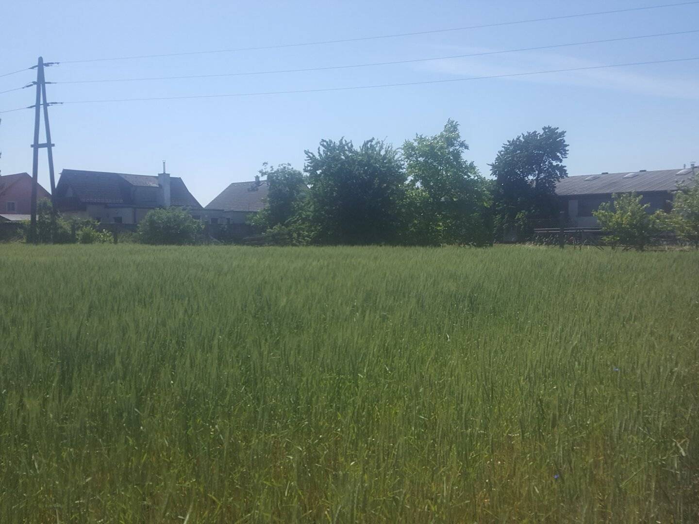 BETRIEBSBAUGRUNDSTÜCKE IM INDUSTRIEGEBIET SEYRING (10.433m²)..