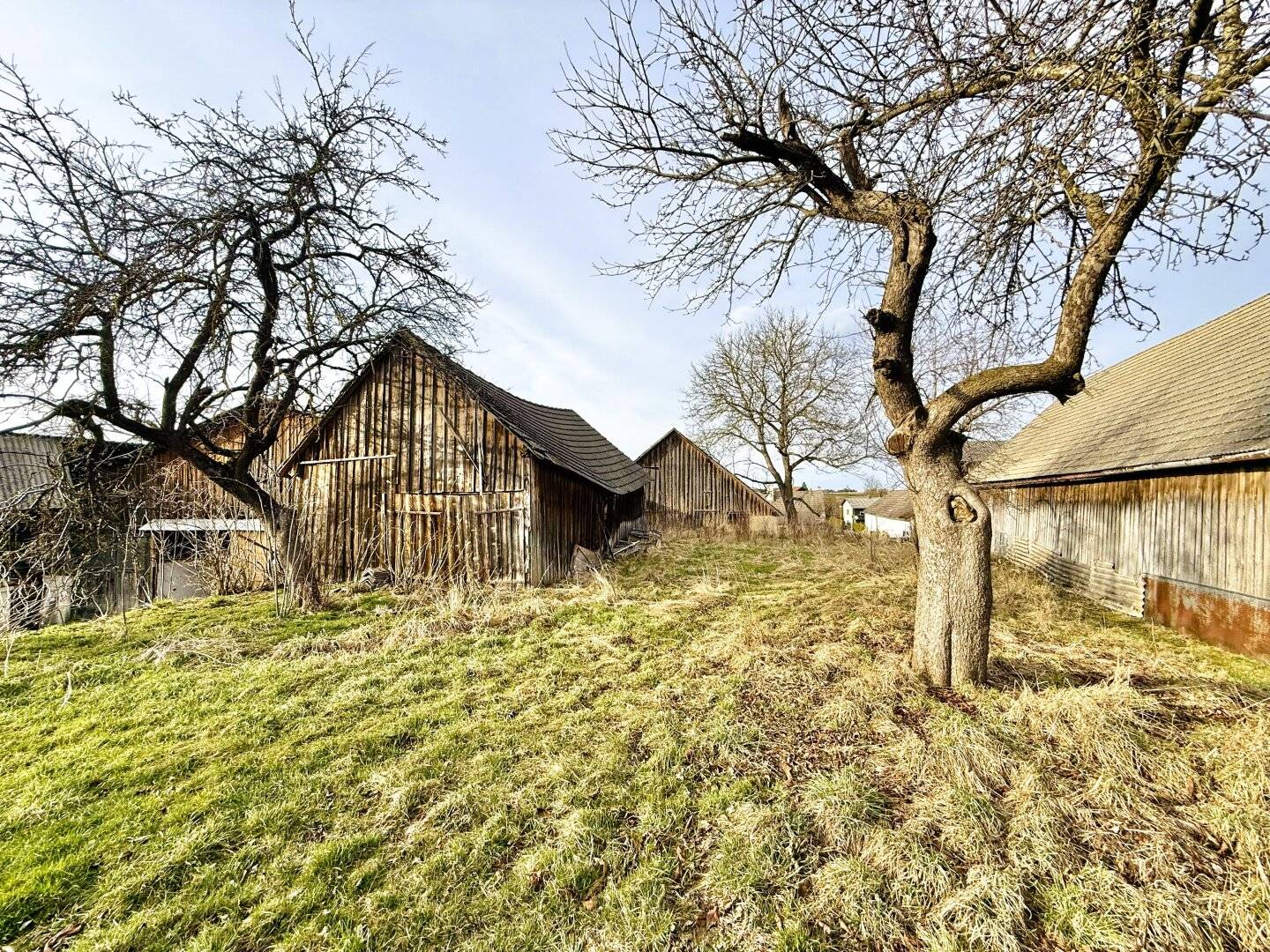 ABBRUCH-NEUBAU-Projekt | Bezirk Waidhofen a.d. Thaya | ca. 2.775 m² Grund | Vielseitige Bebauung möglich | leichte Hanglage | Tierhaltung möglich