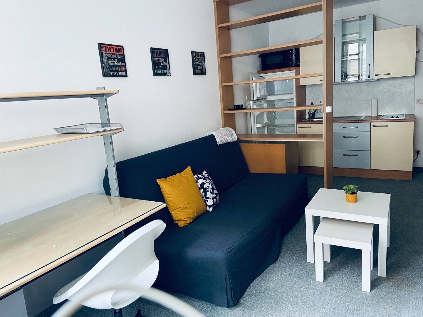 Nice bright one-room apartment