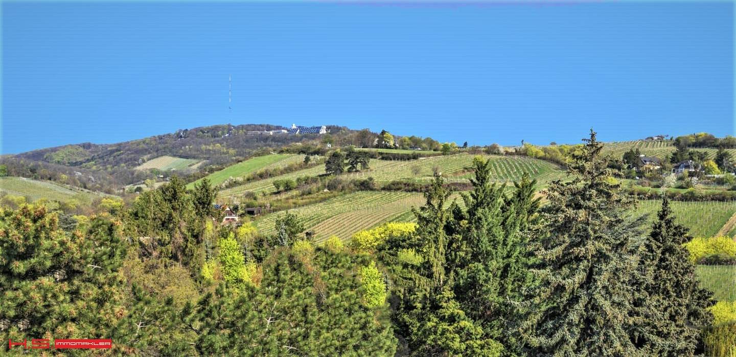 NOCH 2 EXKLUSVE COTTAGERESDENZEN - 70 und 166m² WFL + TERRASSEN / BALKONE - WOHNEN IN SEINER BESTEN FORM - FERNBLICK - GARAGEN