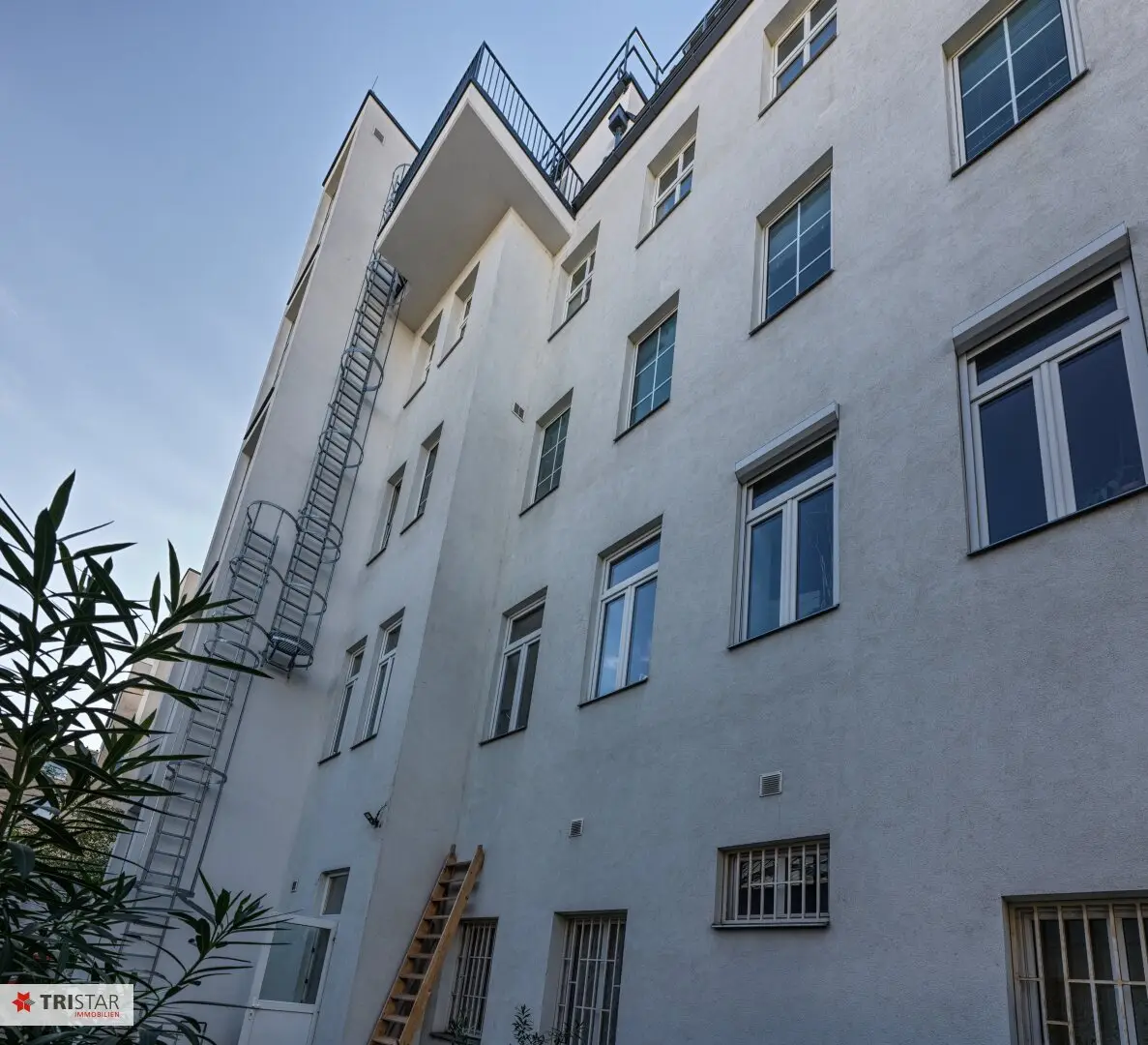 Immobilienbild 3