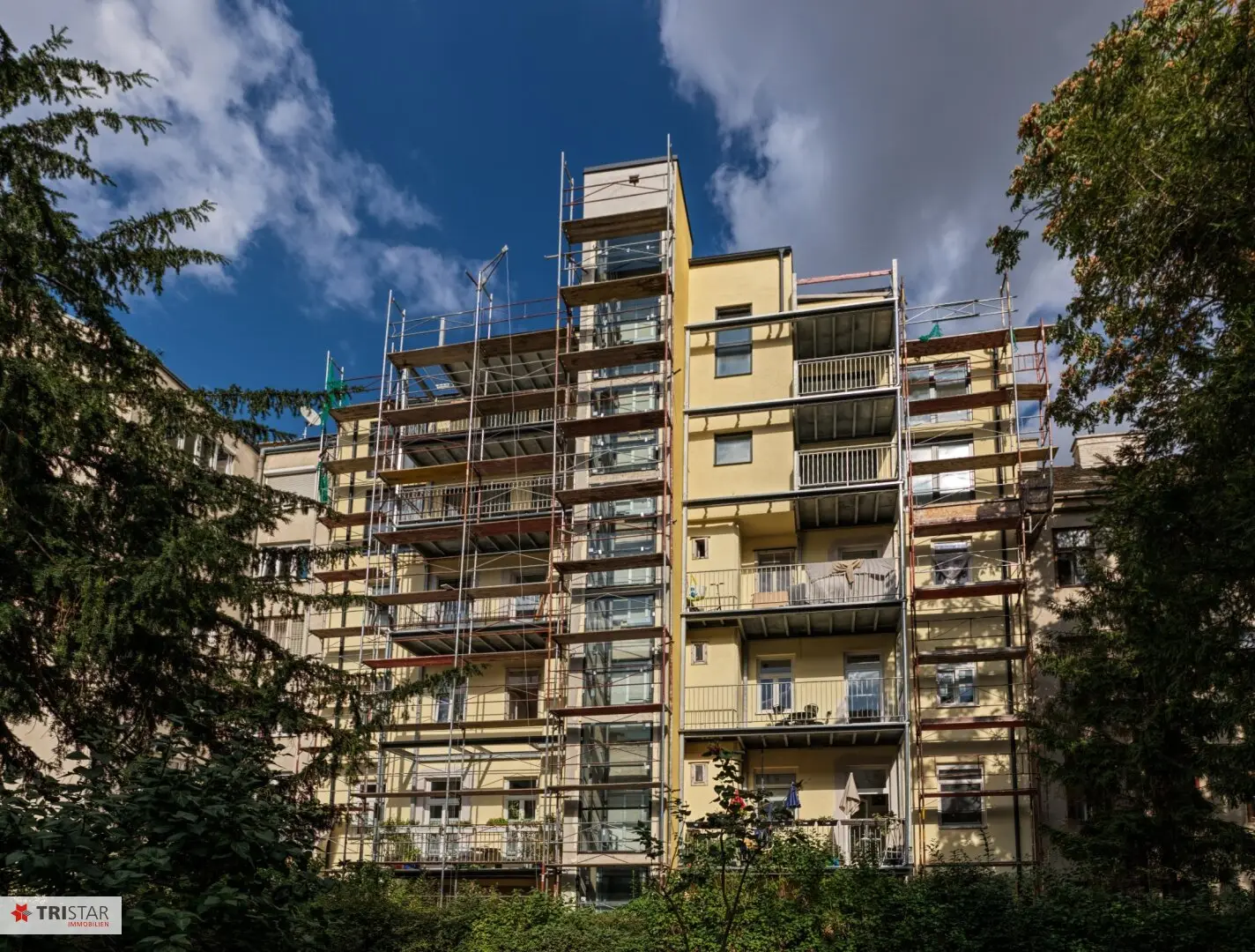 Top 19
