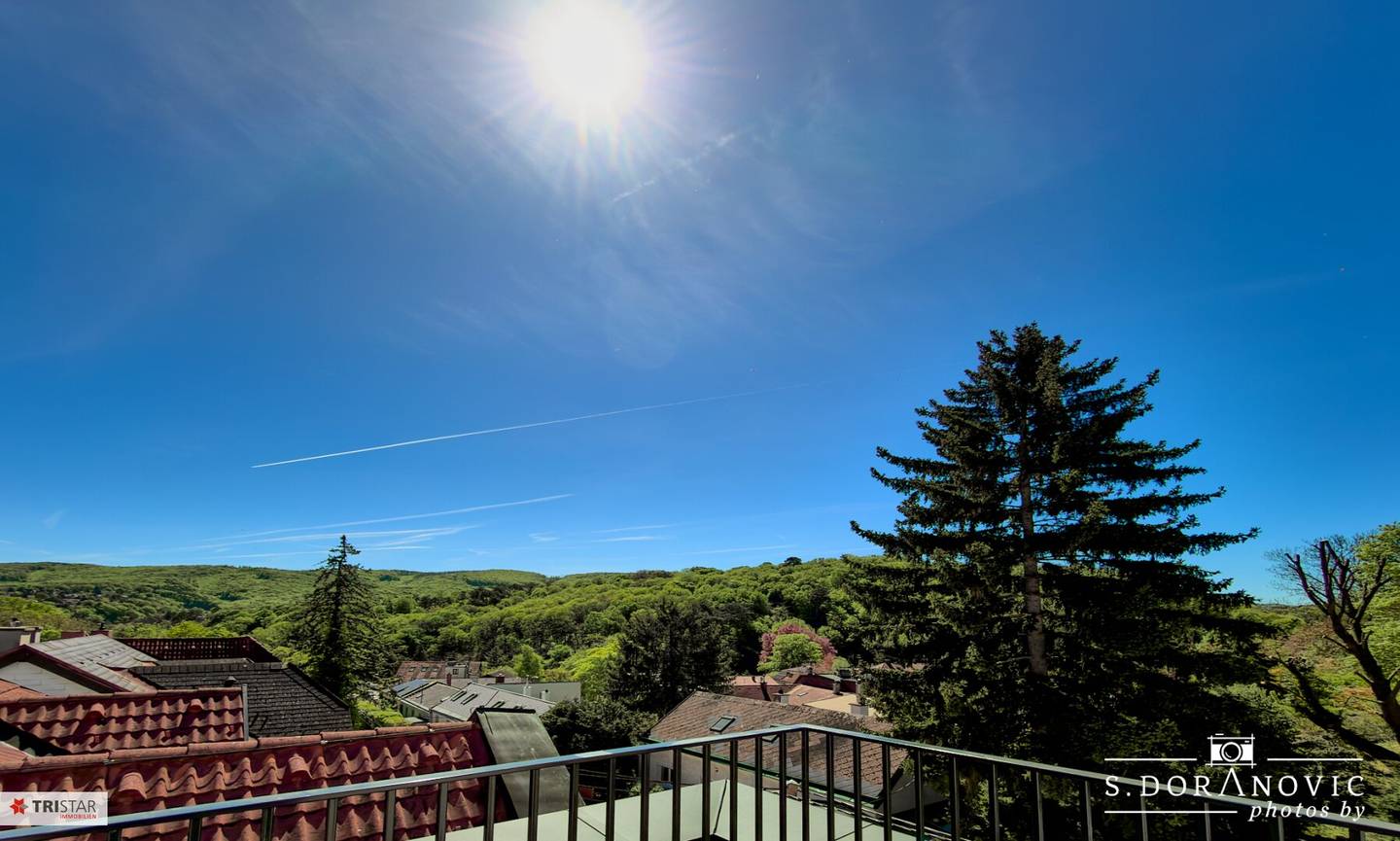 NEW! TURNKEY ++ OWN LAND: NO LEASE OR BUILDING RIGHTS ++ SOLID BRICK CONSTRUCTION ++ CELLAR ++ CAR PARKING SPACES ++ KLOSTERNEUBURG ++