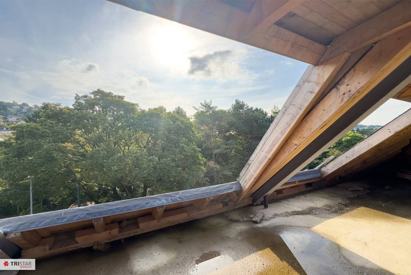Investment at Wolfersberg, Architecture and Nature United, 18 Units, 26 Garage Spaces, Roof Gardens with Pool, Forest Panorama