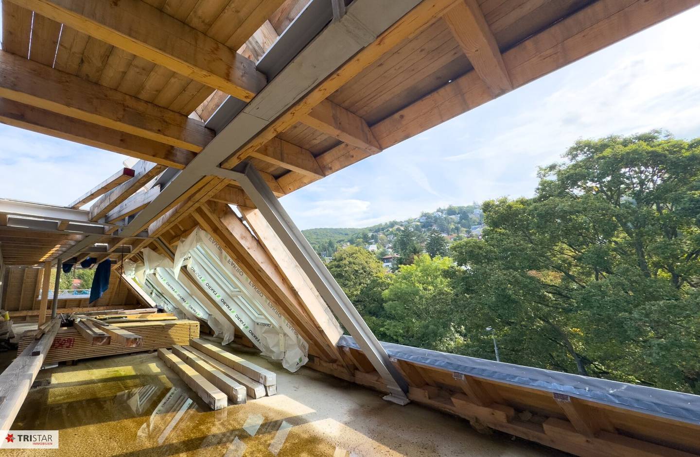 Investment at Wolfersberg, Architecture and Nature United, 18 Units, 26 Garage Spaces, Roof Gardens with Pool, Forest Panorama
