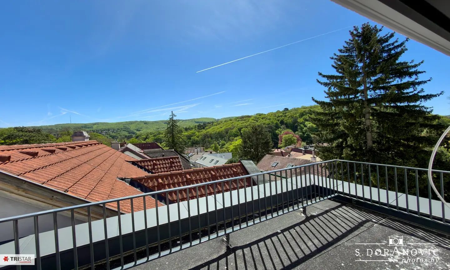 NEW! TURNKEY ++ PRIVATE LAND: NO LEASE OR BUILDING RIGHTS ++ SOLID BRICK ++ CELLAR ++ CAR PARKING SPACES ++ KLOSTERNEUBURG ++