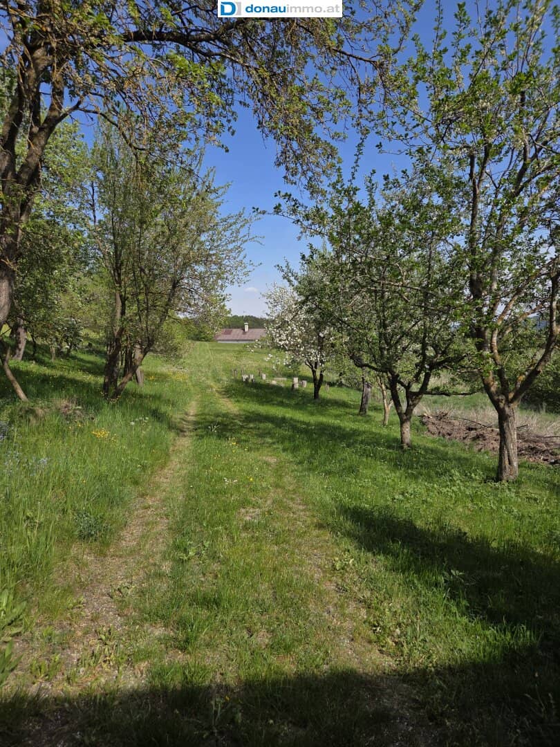 Ruhig gelegener Bauernhof mit Nebengebäuden und geschütztem Innenhof