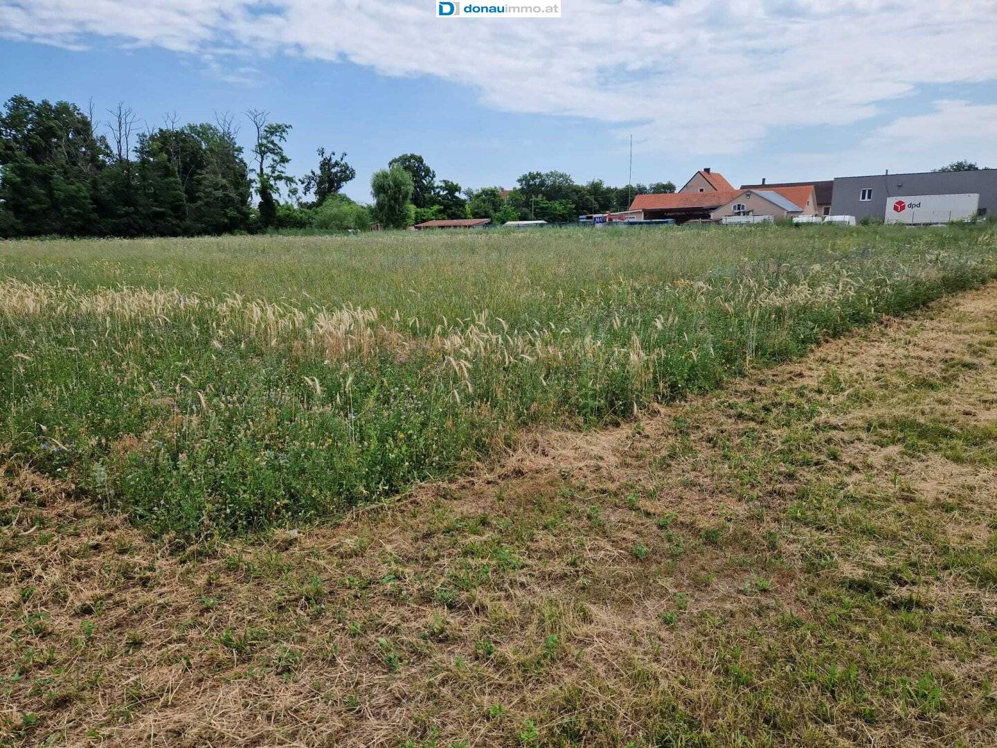 Großes Baugrundstück mit ca 6000 m² in Theresienfeld