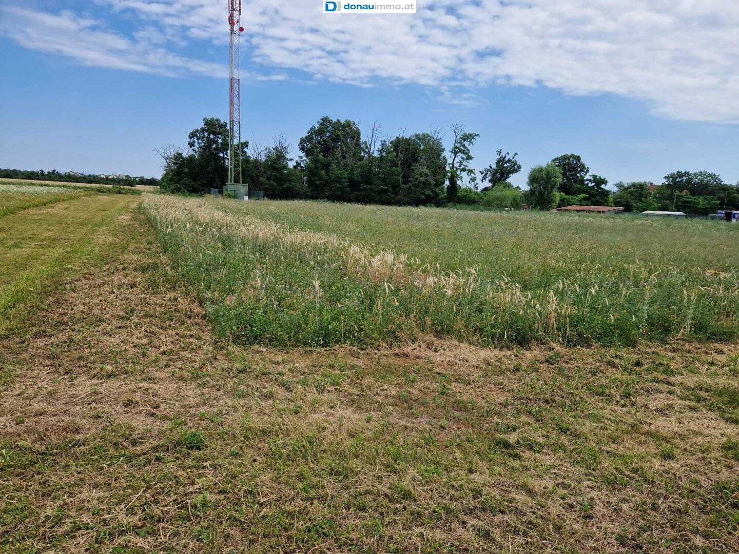 Großes Baugrundstück mit ca 6000 m² in Theresienfeld