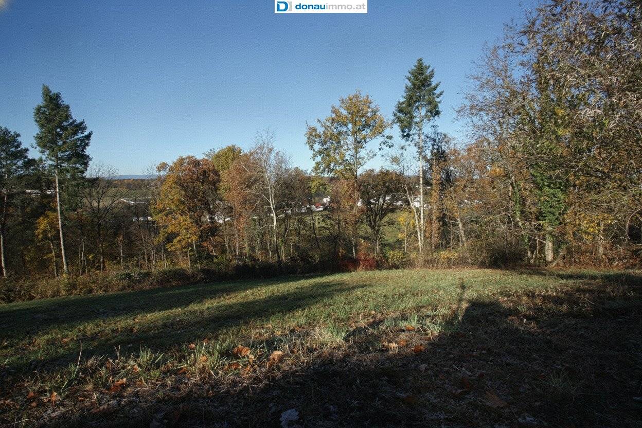 Schönes und ruhig gelegenes Baugrundstück in Bad Tatzmannsdorf