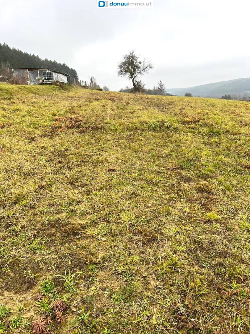 5.616 m2 großes Grundstück in Olbendorf mit Erweiterungsmöglichkeit auf 1,1 ha