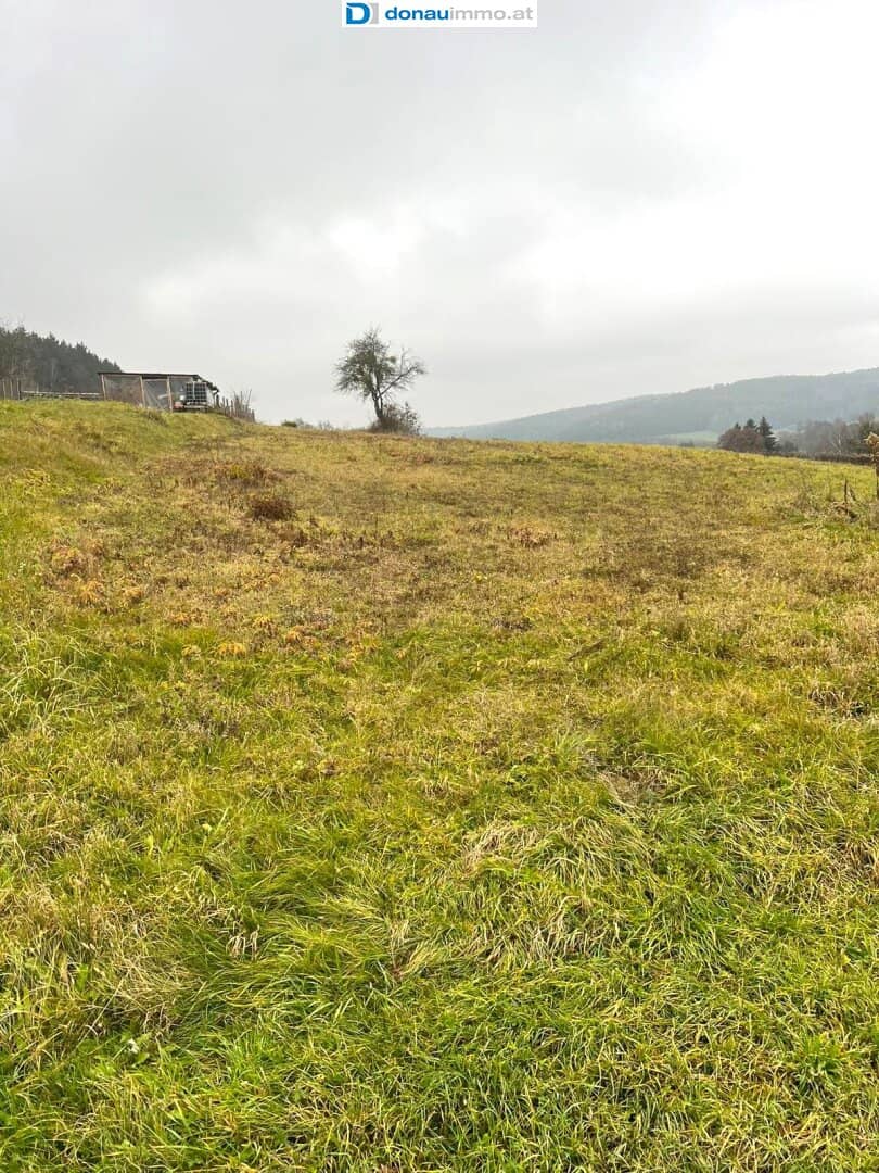 5.616 m2 großes Grundstück in Olbendorf mit Erweiterungsmöglichkeit auf 1,1 ha