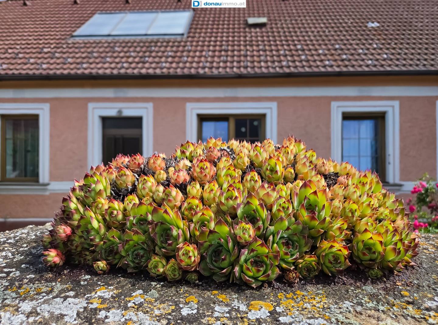 Ehemaliges Bauernhaus mit Garten und viel Potenzial