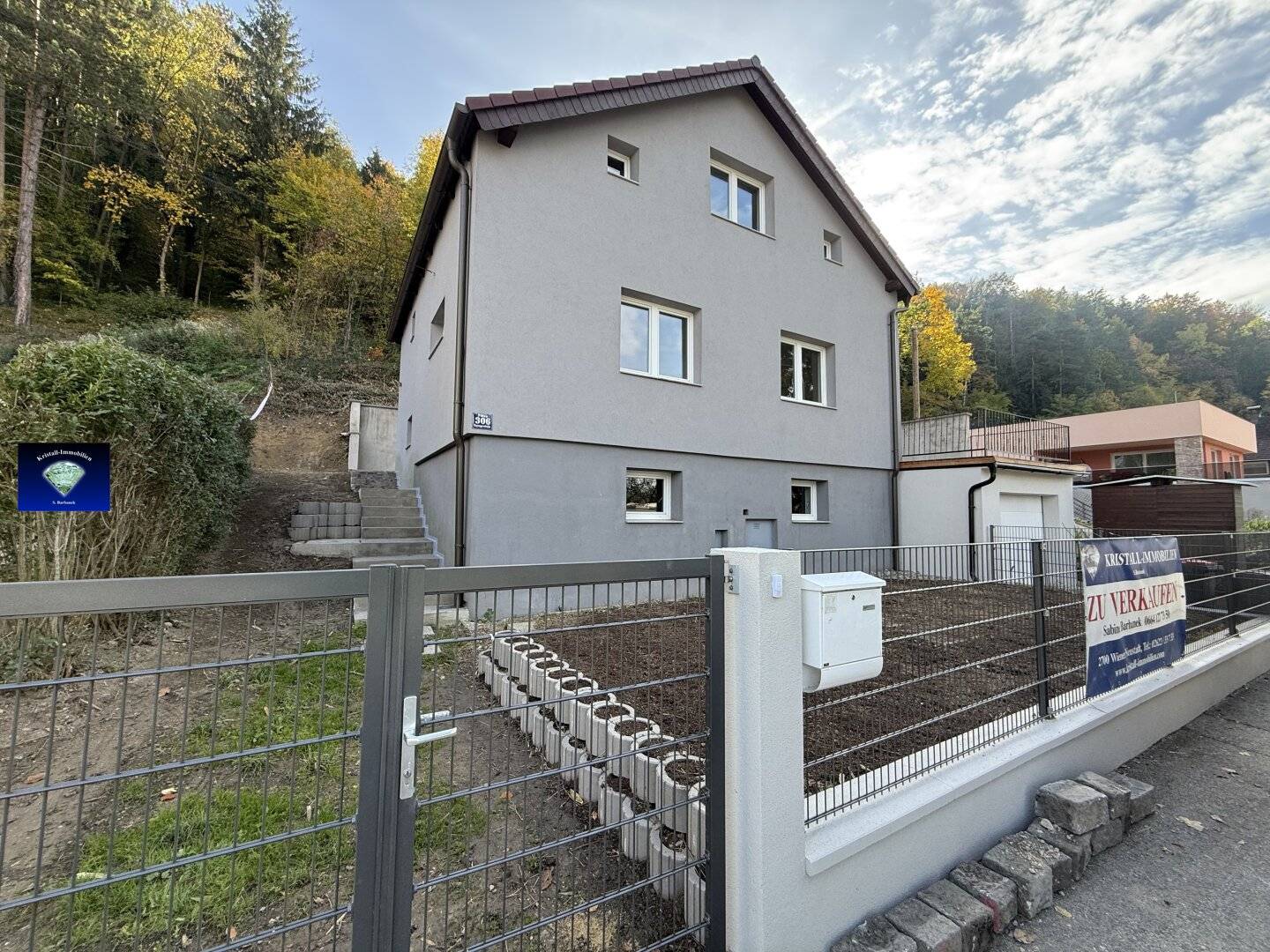 Pitten  EFH Schlossnähe zu einem tollen Preis-1241