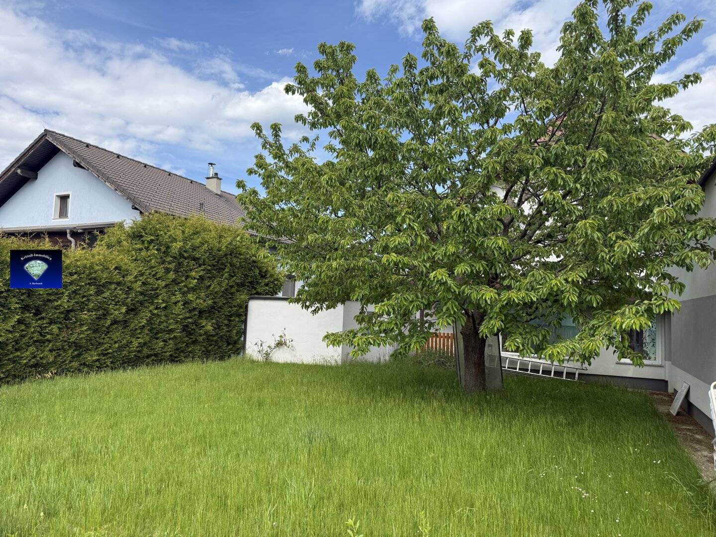 2620 Loipersbach/Natschbach tolles EFH mit 100m² Schwimmhalle-10073