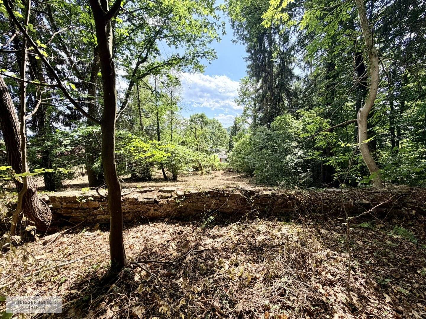 Character plot near Stainz – Large plot with property for renovation and expansion potential