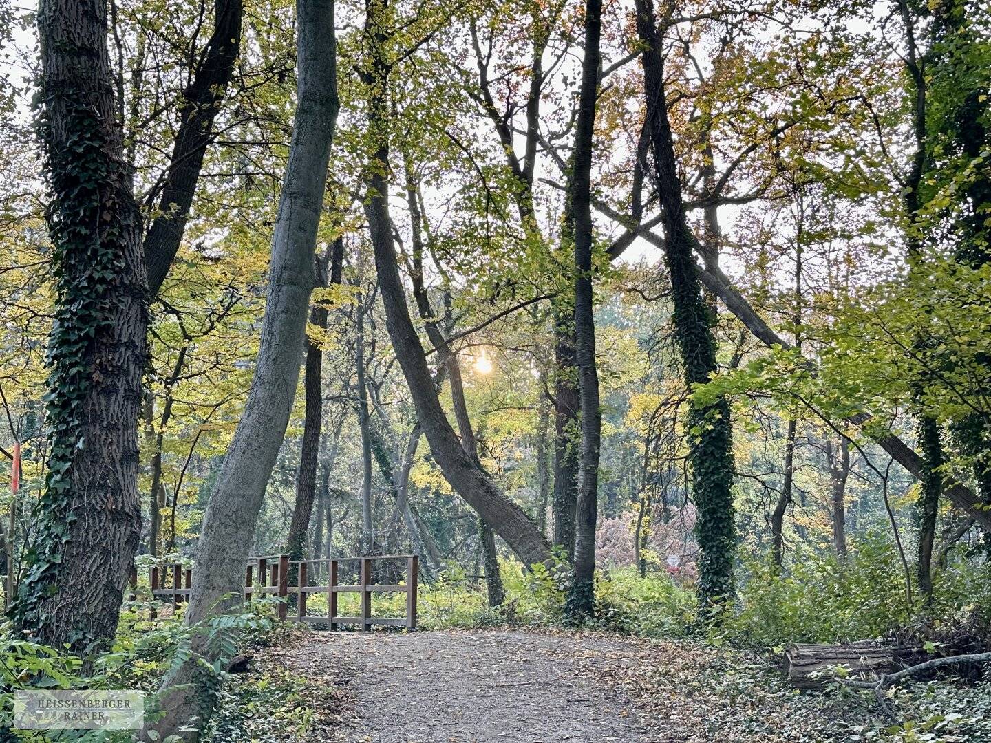 TOLLE GRÖSSE UND BEBAUBARKEIT /// Baugrundstück mit perfekter Infrastruktur nahe Schlosspark