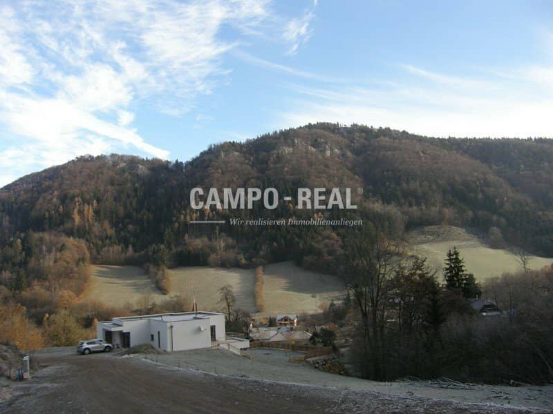 LAND- UND FORSTWIRTSCHAFT: freies Atmen und LEBEN - Wald und Wiese im - Pielachtal - arrondiert