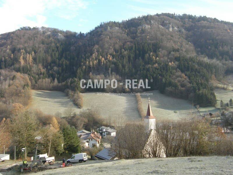 LAND- UND FORSTWIRTSCHAFT: freies Atmen und LEBEN - Wald und Wiese im - Pielachtal - arrondiert
