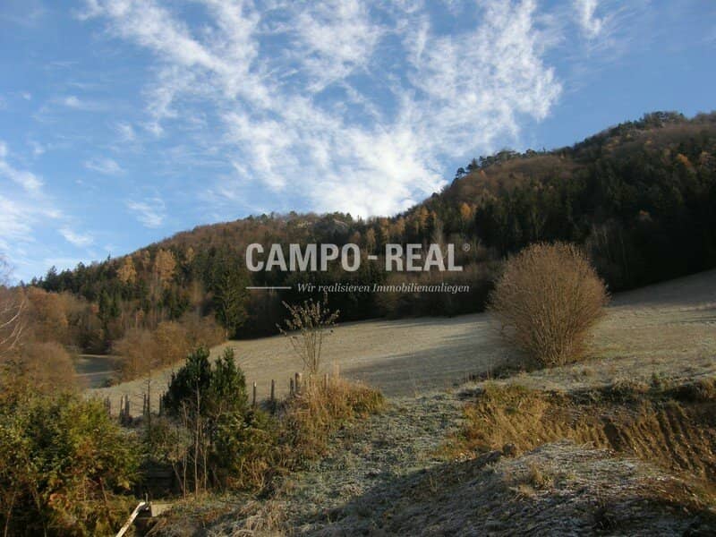 LAND- UND FORSTWIRTSCHAFT: freies Atmen und LEBEN - Wald und Wiese im - Pielachtal - arrondiert