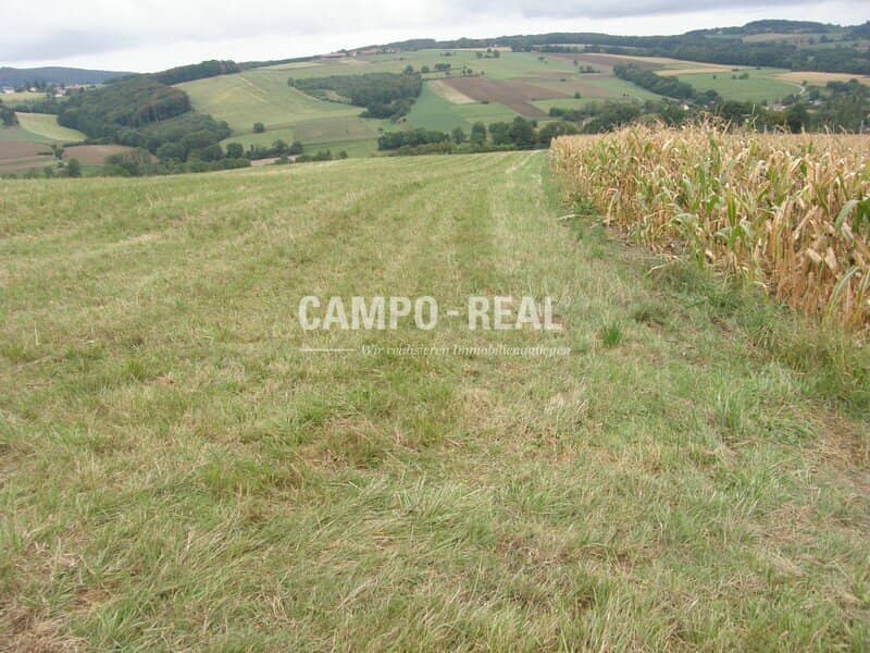 LANDWIRTSCHAFT: Selbstversorger im Wienerwald, 13 ha Acker