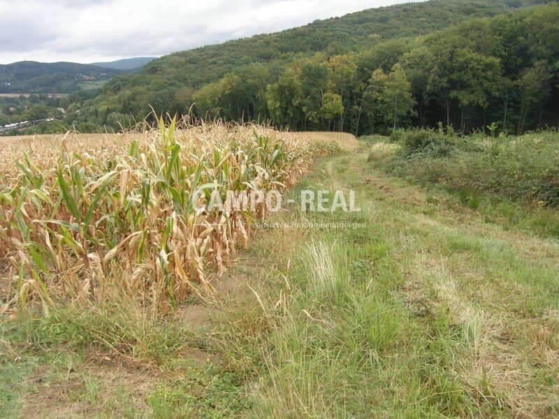 LANDWIRTSCHAFT: Selbstversorger im Wienerwald, 13 ha Acker