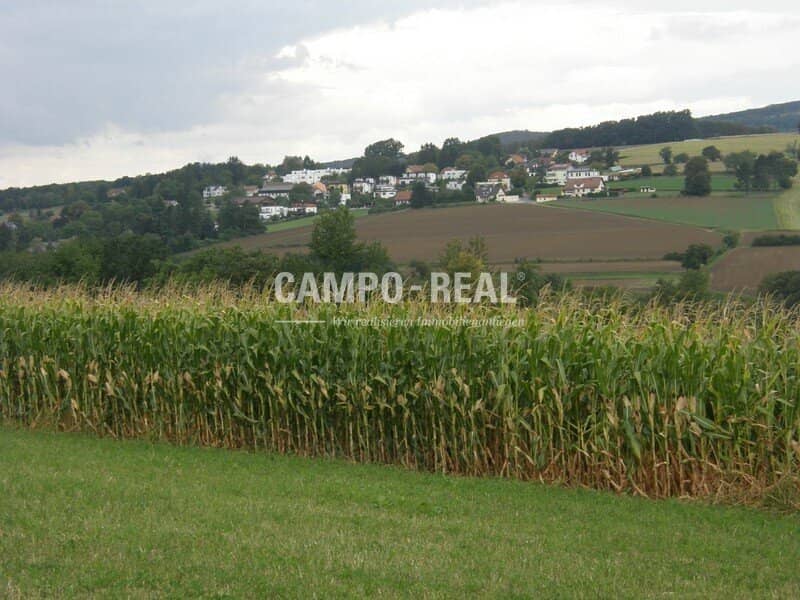 ARABLE FARMING: 7 ha agricultural land, opportunity for independent production, consolidated, private well available, Vienna Woods region