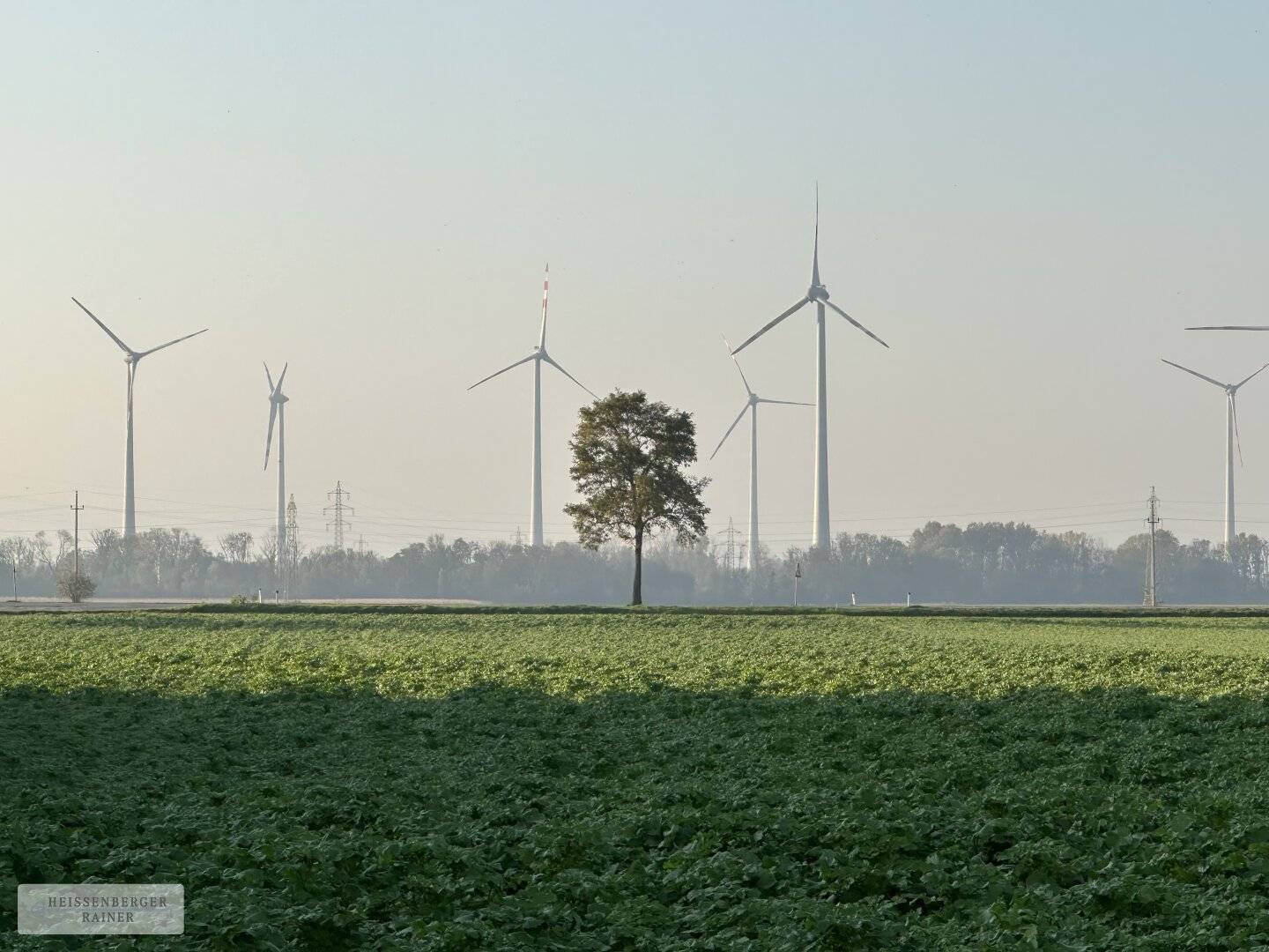 PERFEKT AUFGETEILT, SONNIG, PRIVAT /// Baugrundstück mit perfekter Infrastruktur nahe Schlosspark