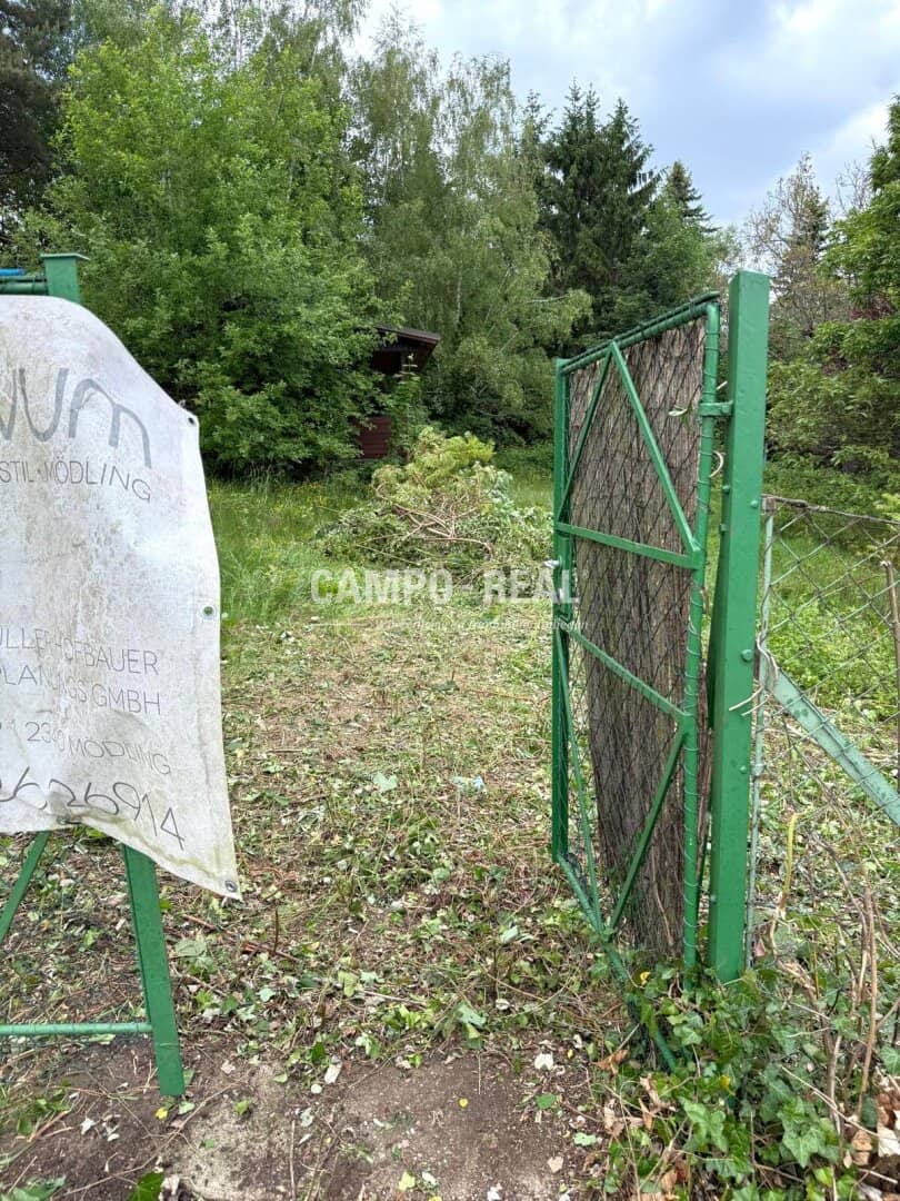 CAMPO-BAUGRUND: Großer, sonniger Baugrund in bester Eichgrabener Lage