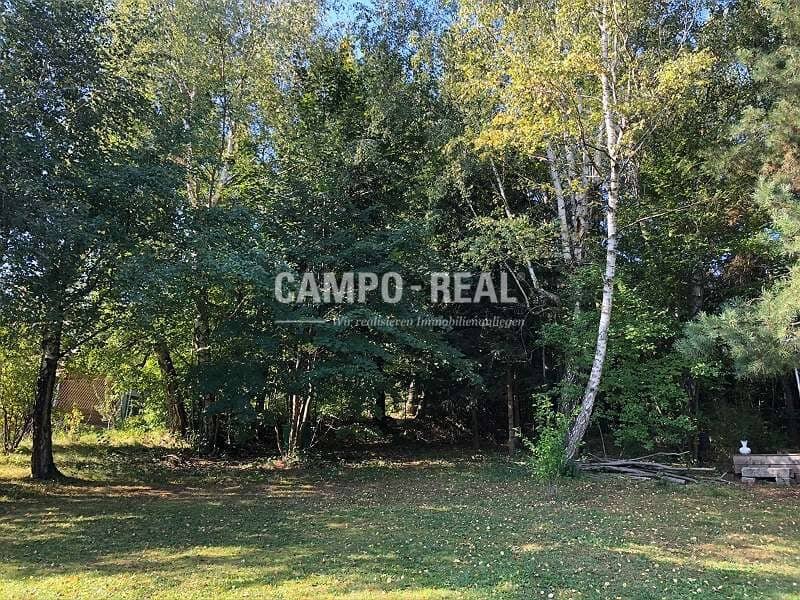 CAMPO BUILDING PLOT: Large, sunny building plot in prime Eichgraben location