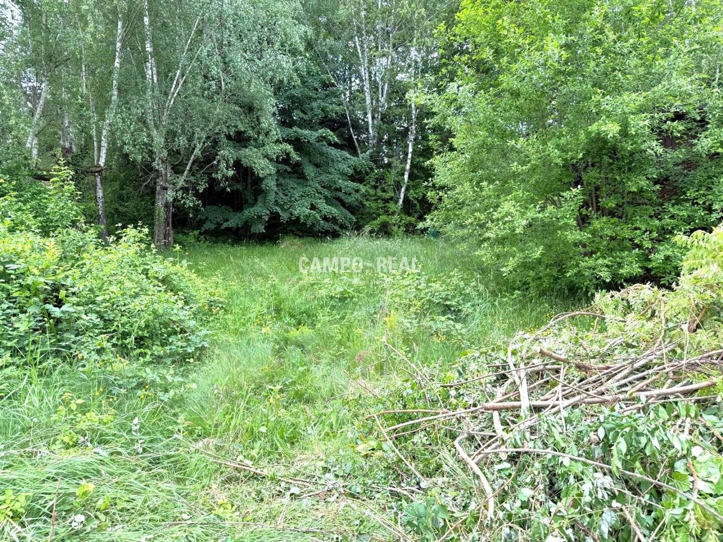 CAMPO-BAUGRUND: Großer, sonniger Baugrund in bester Eichgrabener Lage