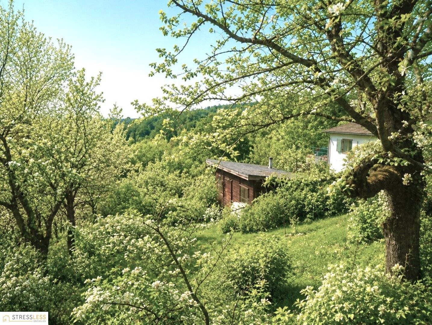 Sie suchen das Besondere - nur 5 Minuten von Wien entfernt? Absolute Wald-Ruhelage mit unverbaubarer Aussicht und Blick in die umliegenden Wälder