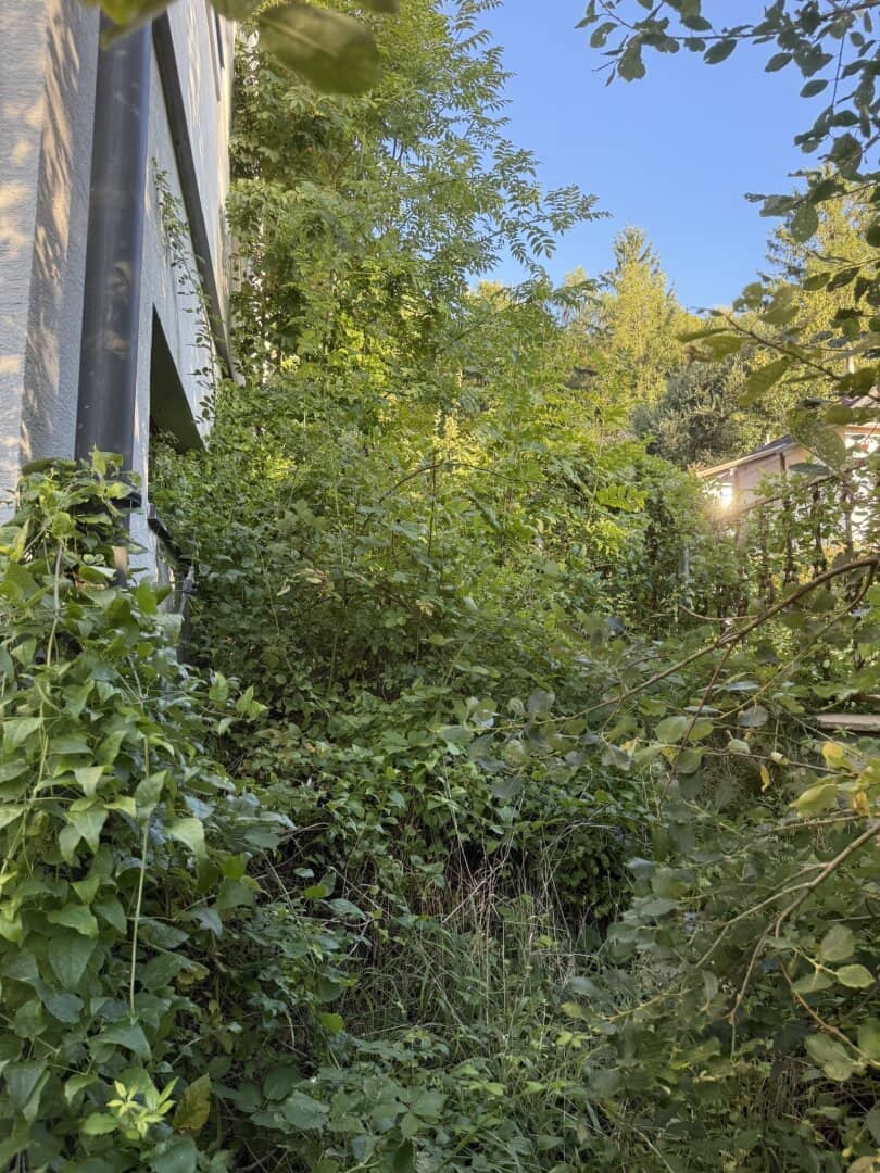 Traumhaftes Grundstück in Wolfsgraben: 1465 m² für Ihr neues Projekt – 635.000 €!