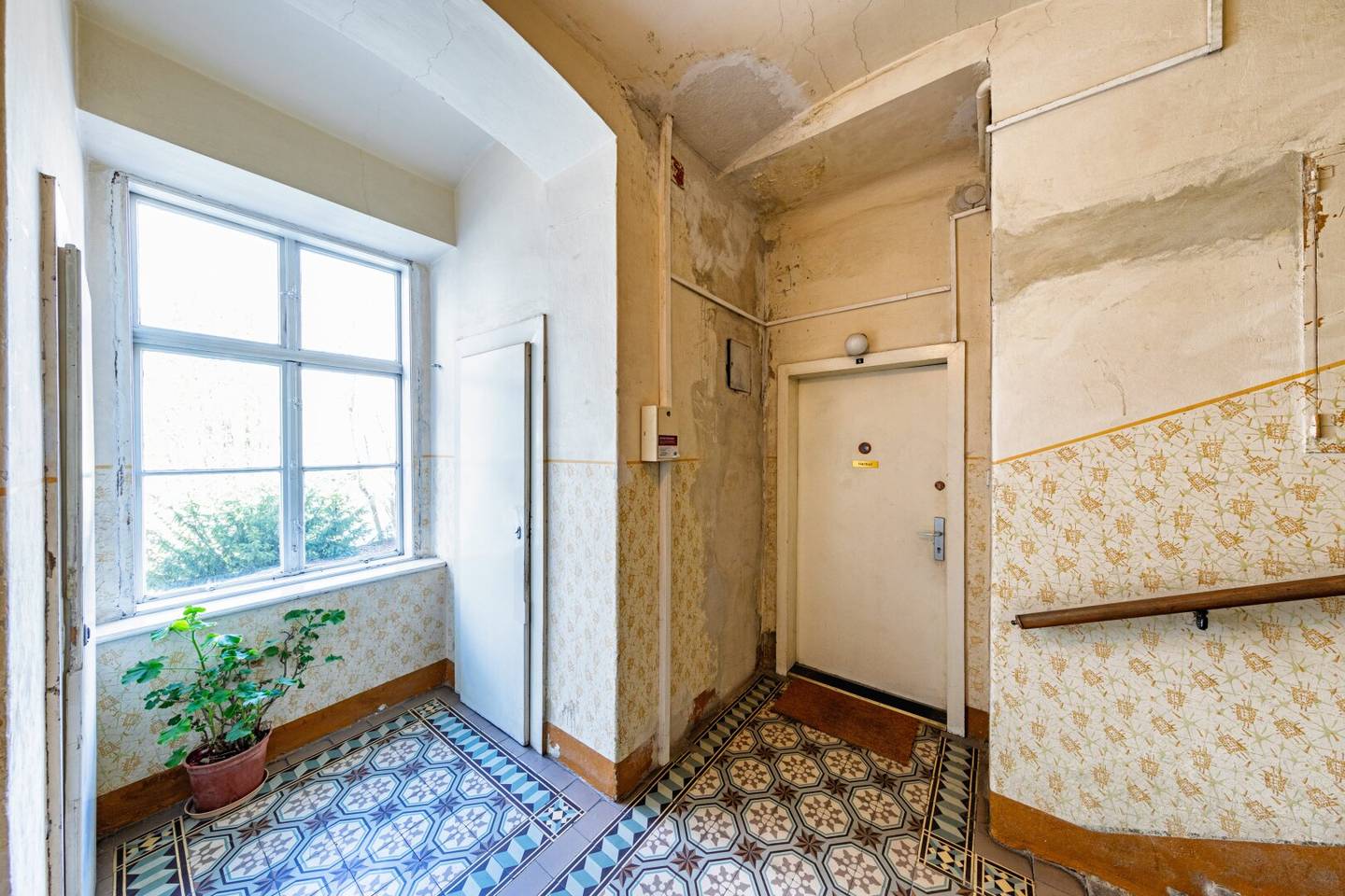 Top 5-6 | Rented investment apartment in perfect micro location, 56 m²