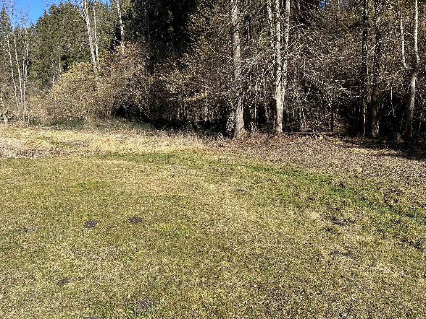 Einzigartige Liegenschaft mit 4397 m², Bach und Wiese für Naturliebhaber - abbruchreifes Haus