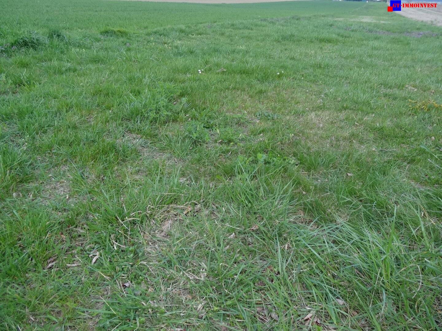 7024 Hirm sehr interessantes 4400m² Bauträgergrundstück