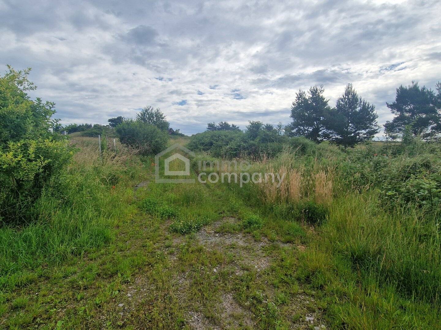 Rarität - Grund mit Teilwidmung Reitplatz/Reitanlage - 10.360 m² um nur 140.000 €!