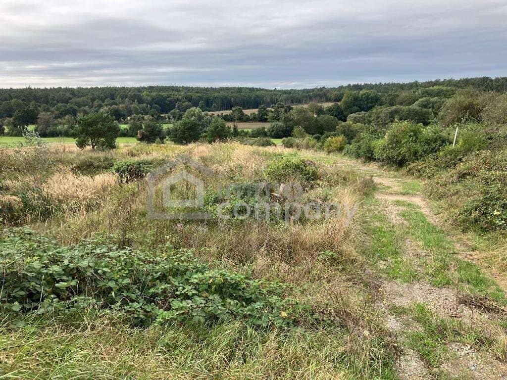 Rarität - Grund mit Teilwidmung Reitplatz/Reitanlage - 10.360 m² um nur 140.000 €!