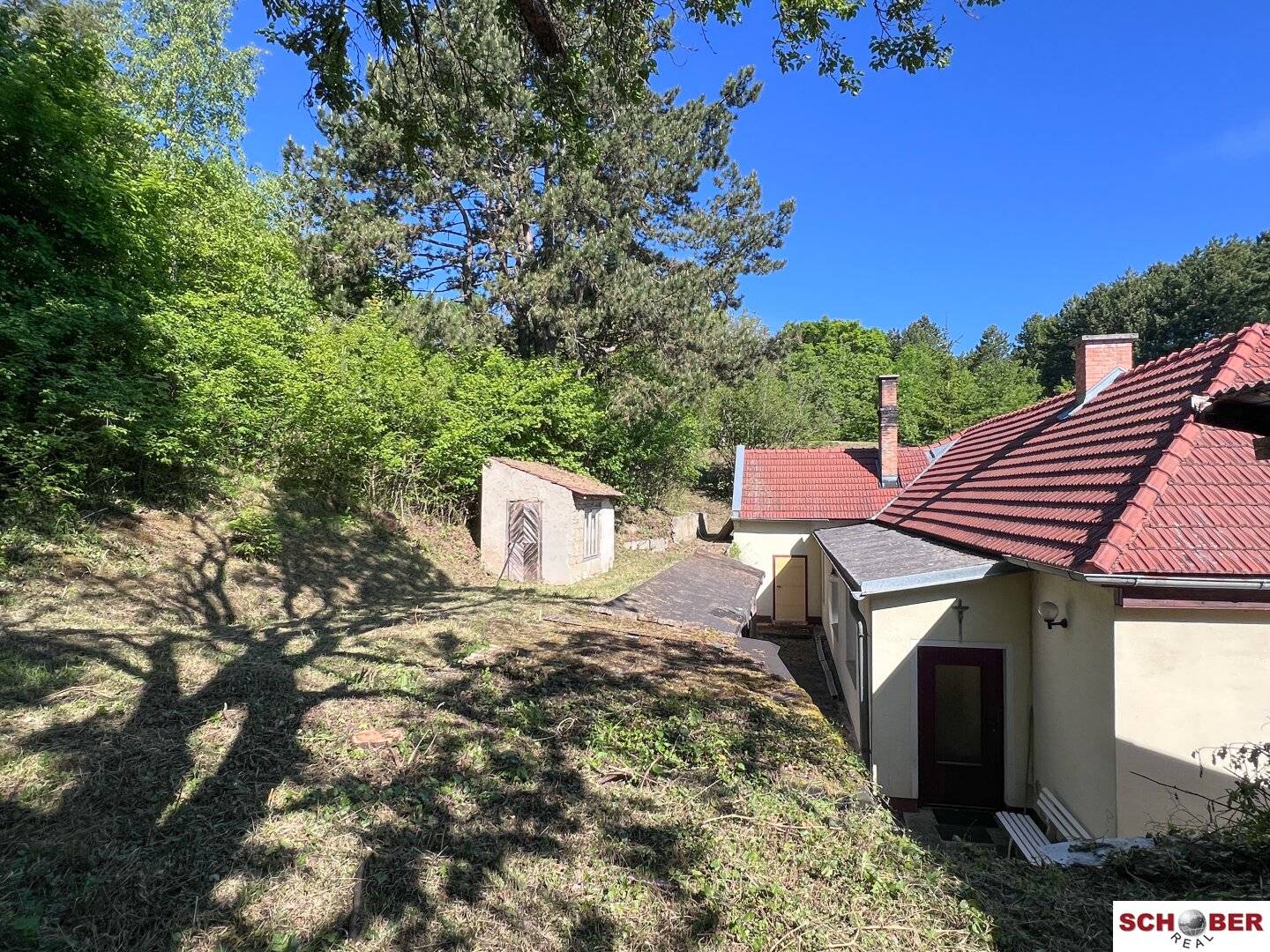 Idyllic forest edge quiet location