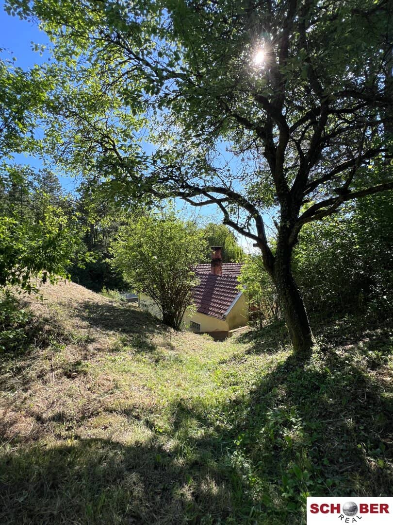 Idyllic forest edge quiet location