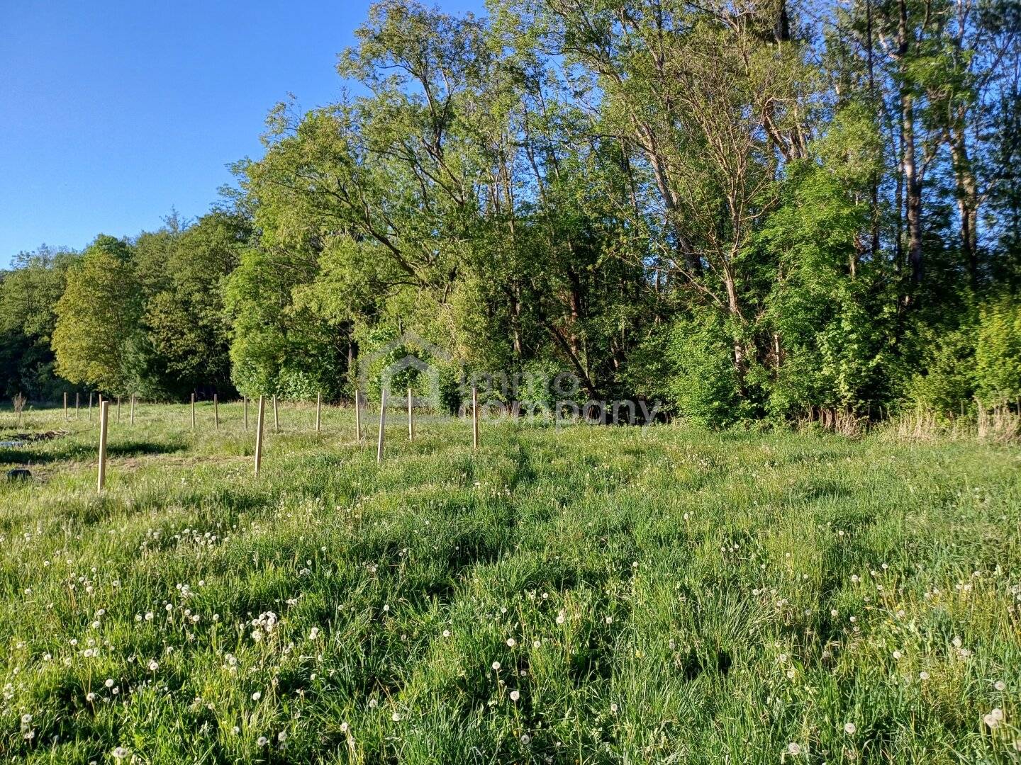 Gartenbaugrundstücke am Ortsrand von Willendorf – ca. 800 m² Parzellen