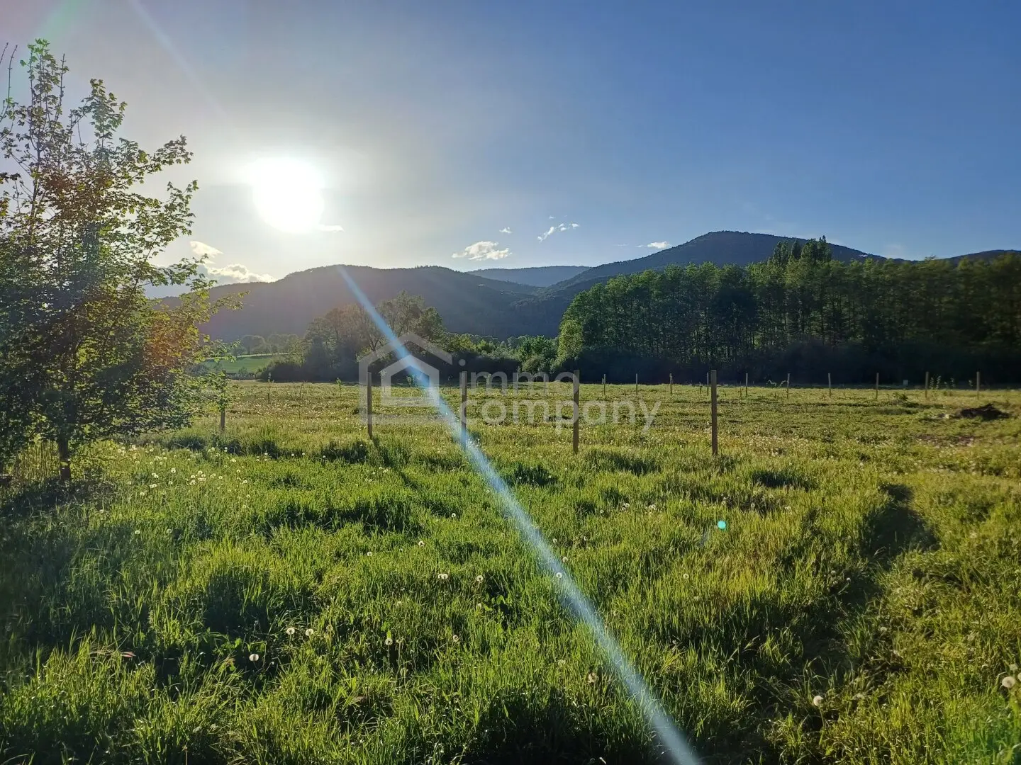 Your sunny garden plots on the outskirts of Willendorf