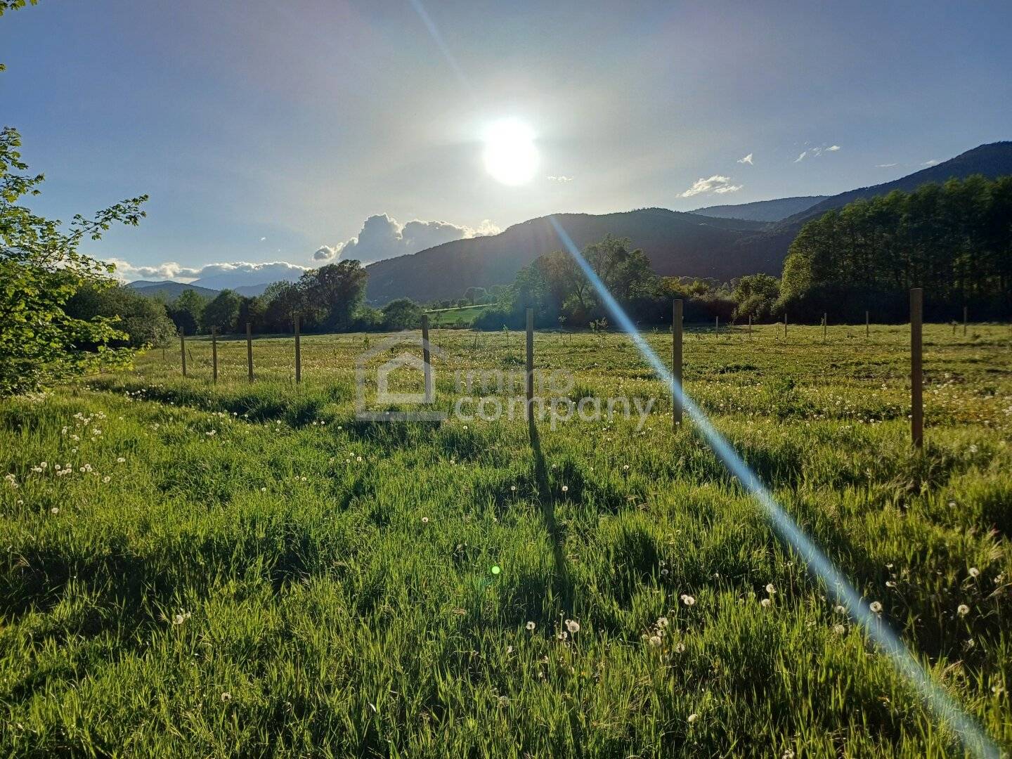 Gartenbaugrundstücke am Ortsrand von Willendorf – ca. 800 m² Parzellen