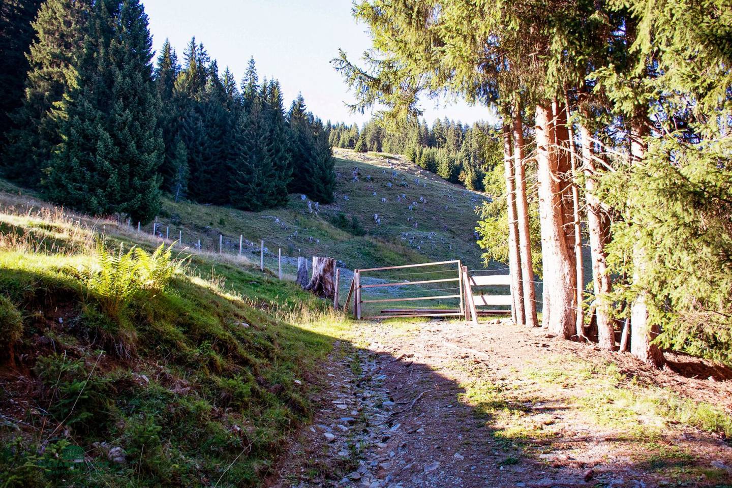 Ski and alpine hut in the Saalbach-Hinterglemm ski area