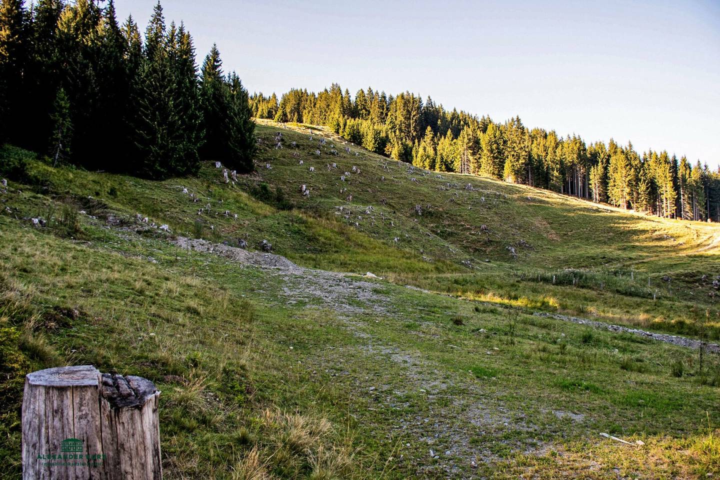 Ski and alpine hut in the Saalbach-Hinterglemm ski area