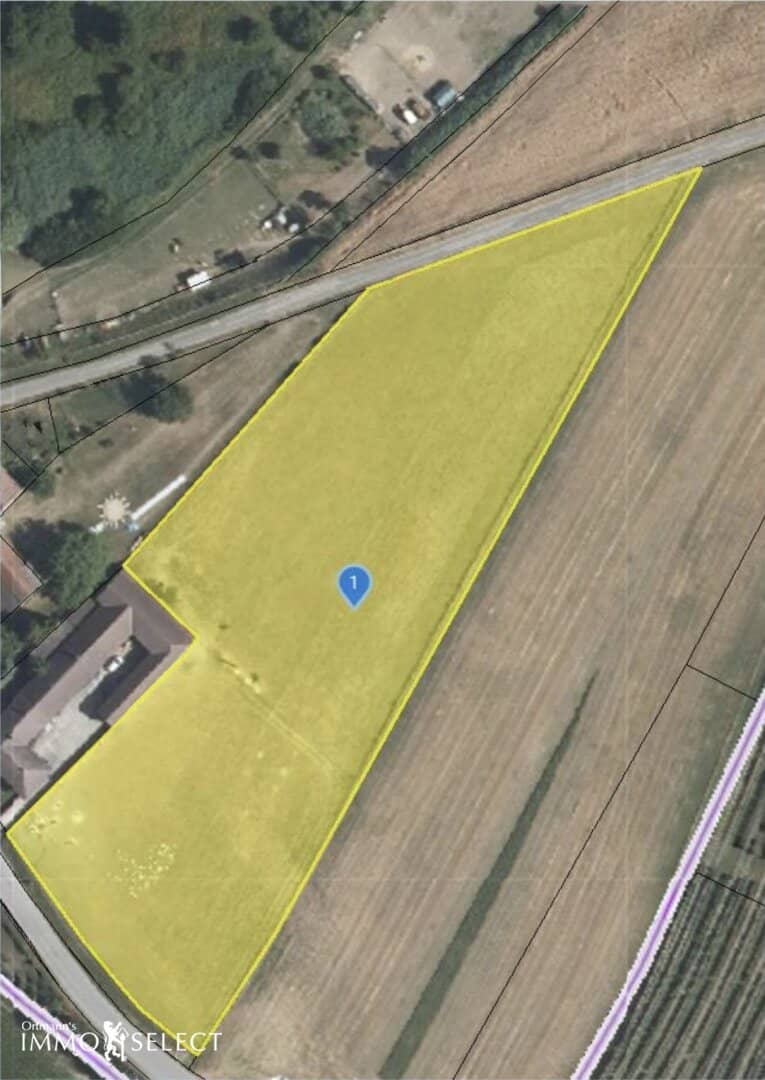 "10.775 m² Freiheit für Ihre Vision – Landwirtschaftliches Grundstück in Schönberg am Kamp“