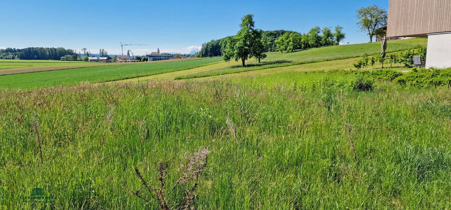 Sunny building plot by grassland, 30 km north of Salzburg