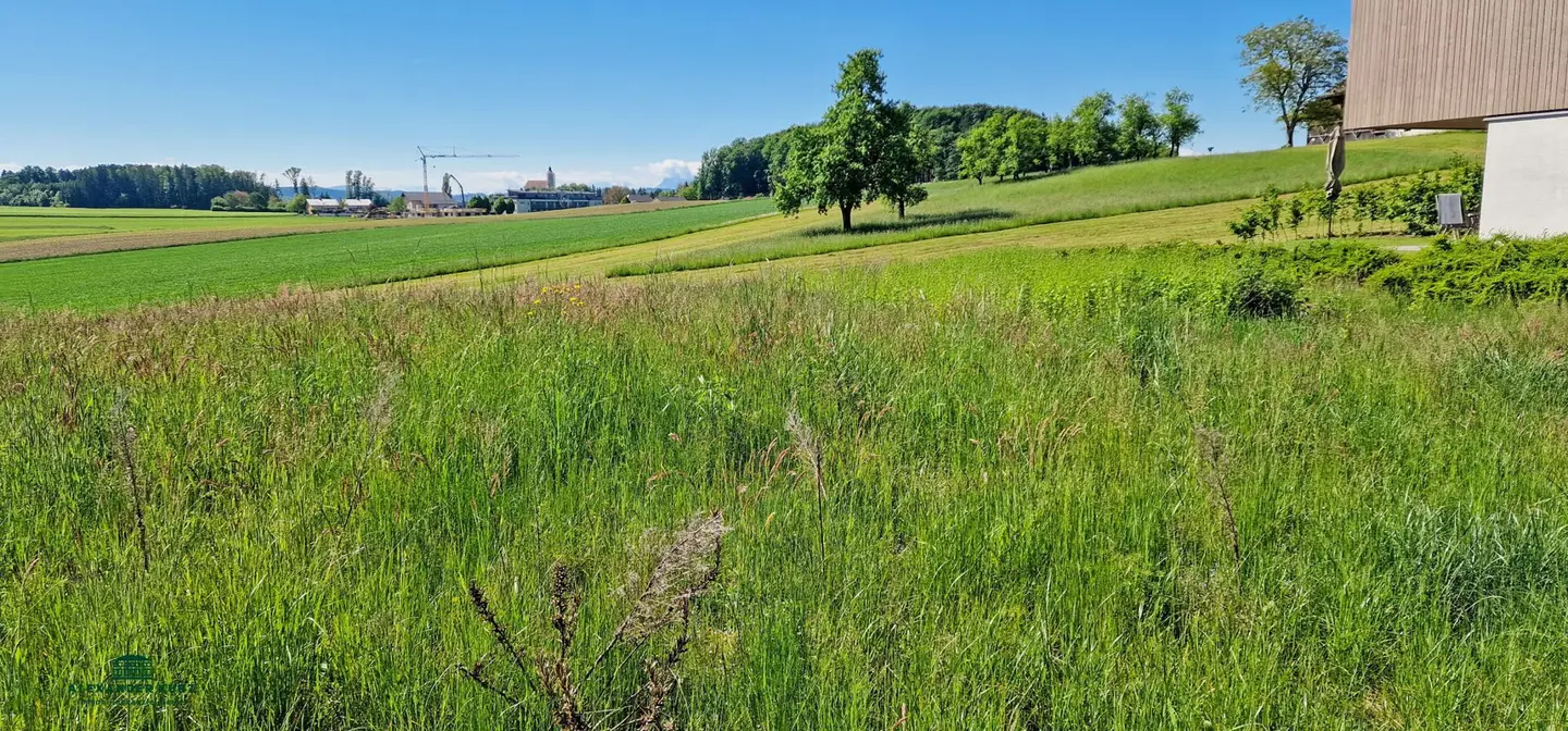 Sunny building plot by grassland, 30 km north of Salzburg