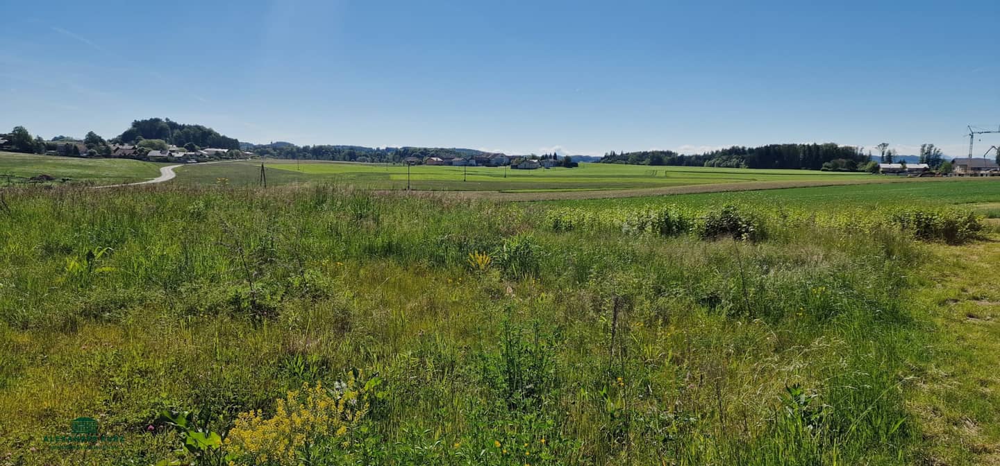Sunny building plot by grassland, 30 km north of Salzburg