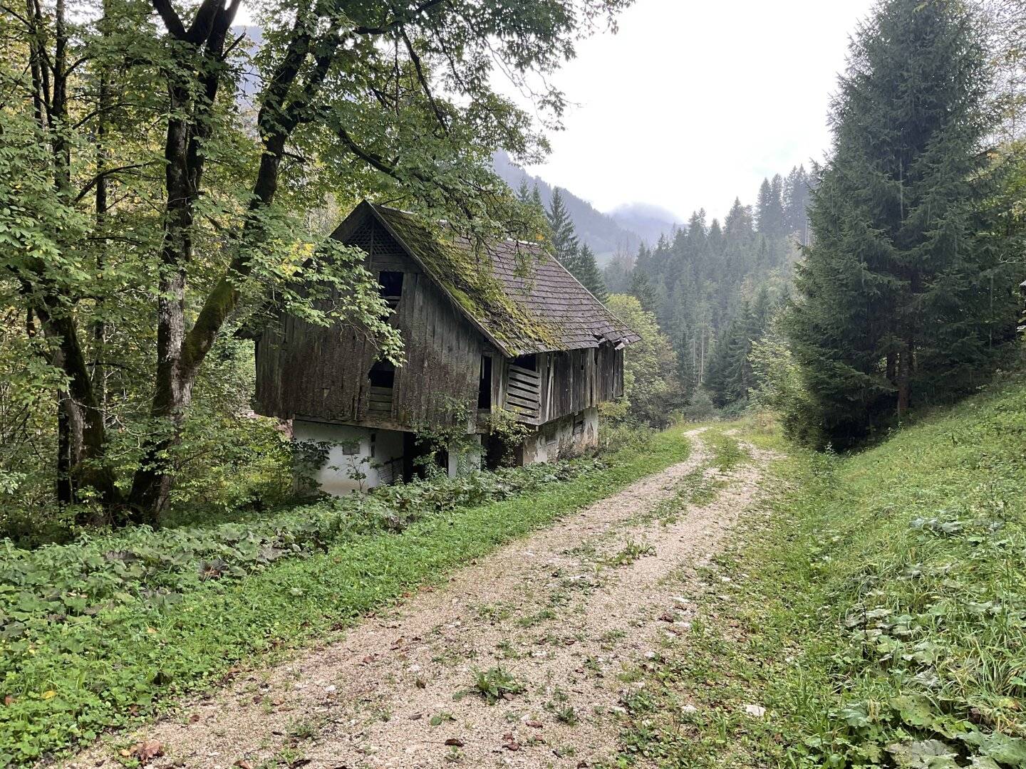 Kleinlandwirtschaft in idyllischer Alleinlage nahe Eisenkappel - mit neuem Rohbau in Naturholzbauweise